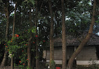 House by the backwaters