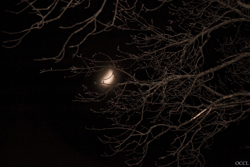[Foggy%2520Moon%2520%25281%2520of%25201%2529%255B3%255D.jpg]