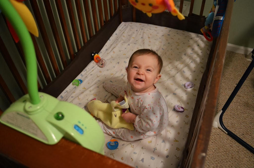 [DSC_5694%255B4%255D.jpg]