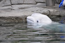 DSC_0319.JPG