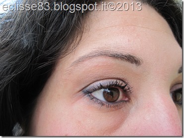 IMG_4232 IMG_4232