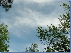 IMG_4471 IMG_4471