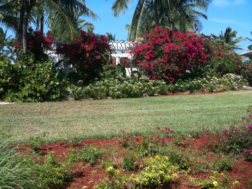 Another beautiful spot, a lush garden.