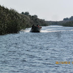 IMG_7972.JPG