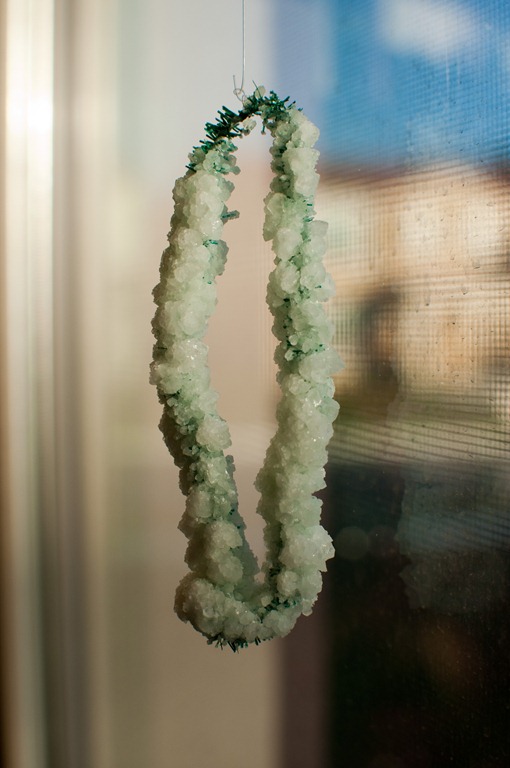[DSC_7931_15.jpg]