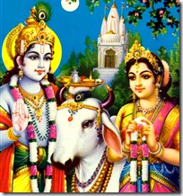 Radha and Krishna with cow