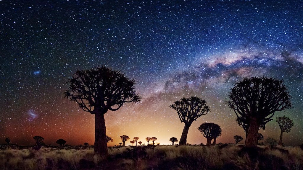 [Trees_Galaxy_Milky_Way_Stars_sky_desert_1920x1080%255B3%255D.jpg]