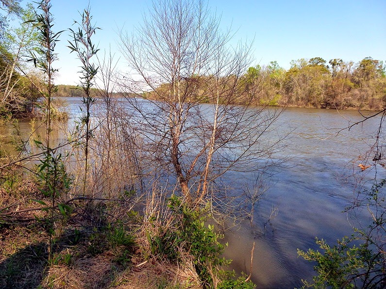 [Hiking---The-Apalachicola-River5.jpg]