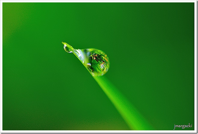 DSC_8578 DSC_8578