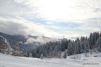 IMG_7936.JPG