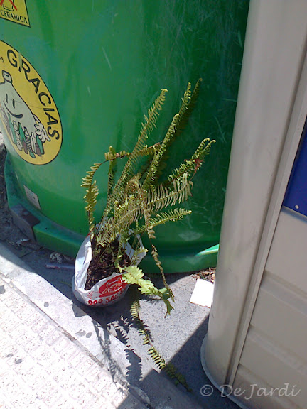 2013_01130048_contenidor.jpg