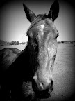 IMG_20120108_122719.jpg