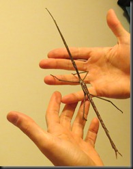IMG_0423 IMG_0423
