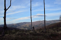 IMG_0476.JPG