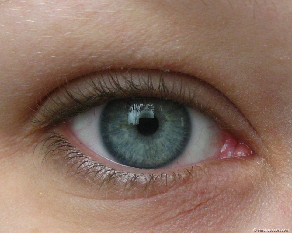 [IMG_0111%255B9%255D.jpg]