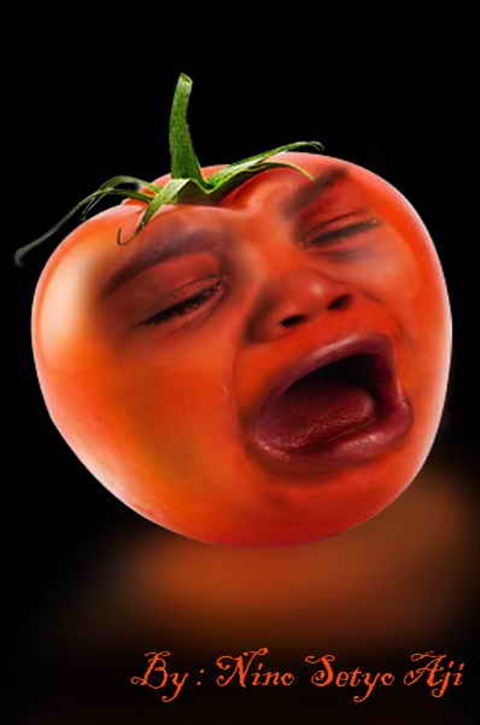 human tomato