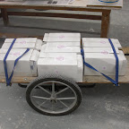 CIMG1146.JPG