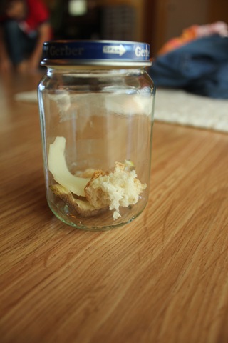 [IMG_1565%255B4%255D.jpg]