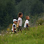P8298882.jpg