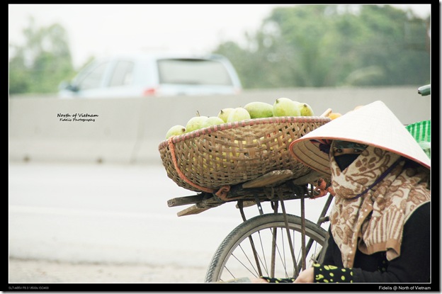 hanoi203 hanoi203