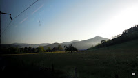 DSCN0991.JPG Photo