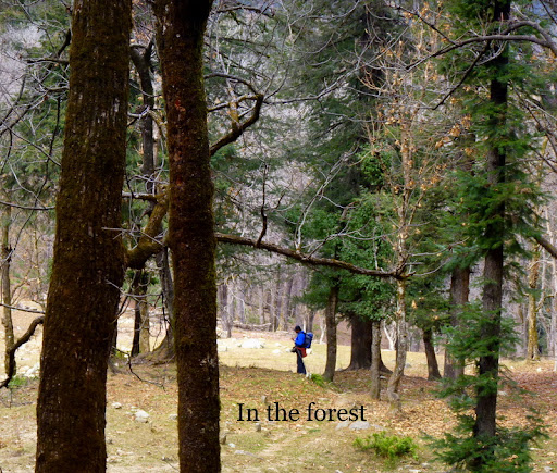 Kedarkantha Trek