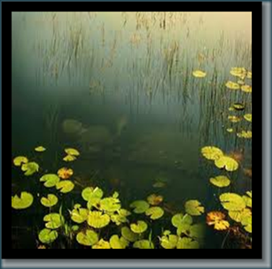clip_image032