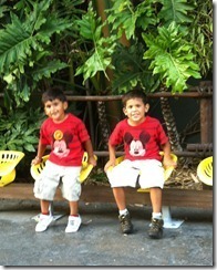 9.12.12-bugsland-gian-matteo_thumb_thumb