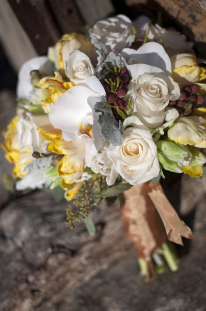 [phalaenopsis-orchids-double-yellow-t%255B1%255D.jpg]