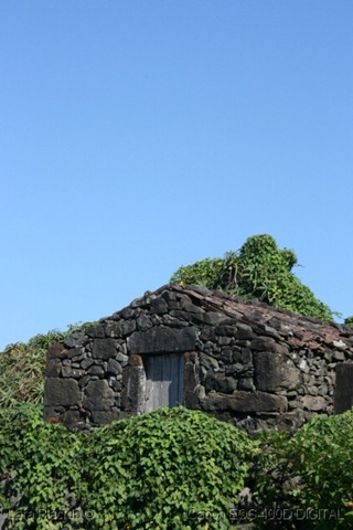 [%255B029%255D_Faja_Santo_Cristo2%255B5%255D.jpg]