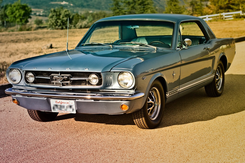 [20130625-IMG_27497.jpg]