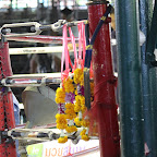 IMG_8145.JPG
