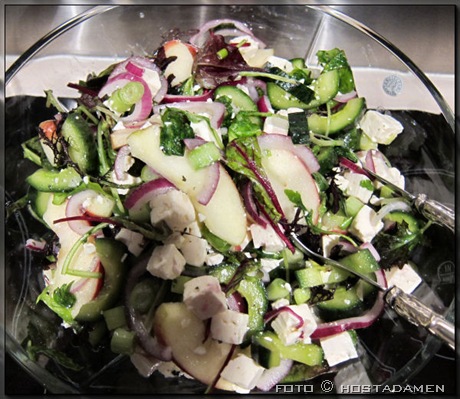 Apple-onion-salad