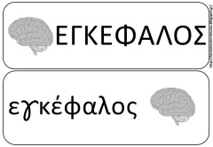 σωμα4 σωμα4