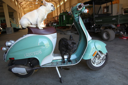 Hey Francesca!  Are you ready to go?