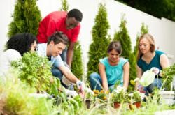 [gI_82220_iStock_000017146794XSmall%255B4%255D.jpg]