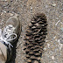 Sierra%252520nevada%252520053