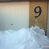 Snevinter