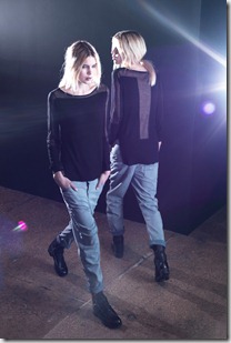 theyskenstheoryprefw201221