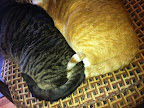 And these two have been inseparable ever since!