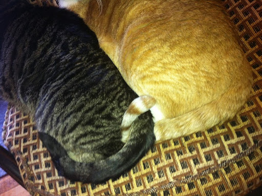 And these two have been inseparable ever since!