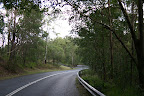 On the scenic road through Mt Coot-tha