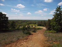 SAM_0348.JPG Photo