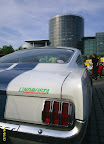 Bulliger Mustang