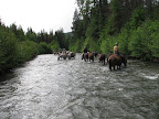A cool creek crossing provides a quick refresher for horse and rider