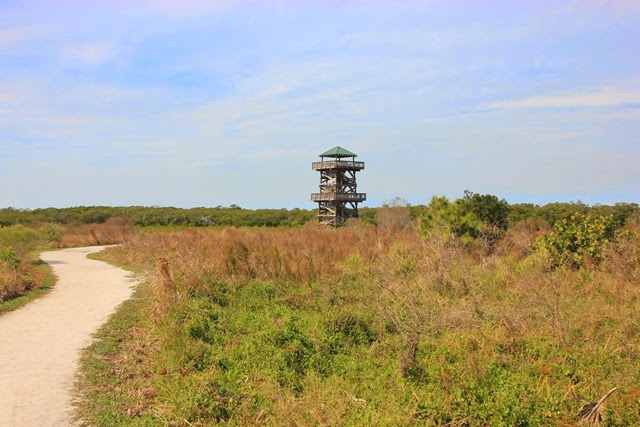 Robinson Preserve Observation Tower Robinson Preserve Observation Tower