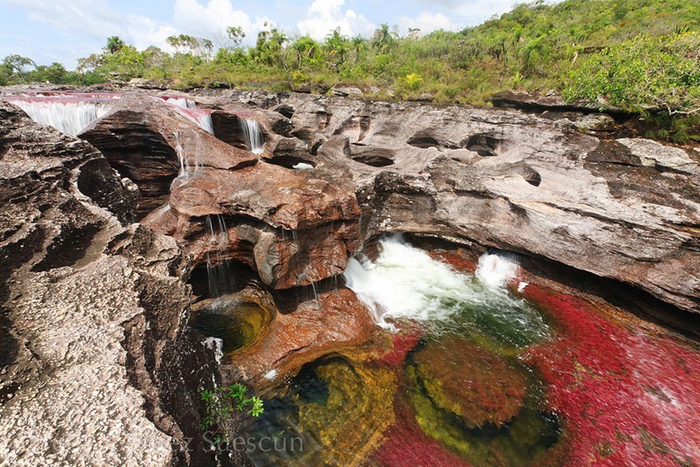  نهر الالوان الخمسة من اجمل انهار العالم : Cano-cristales-3%25255B2%25255D