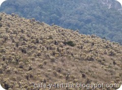 Acampar cerca de Bogotá