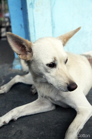 [IMG_0314%255B4%255D.jpg]