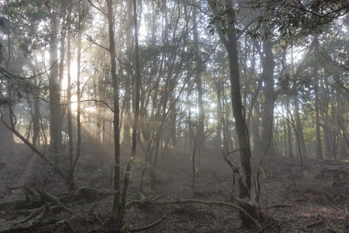 2014_1005_061821 2014_1005_061821